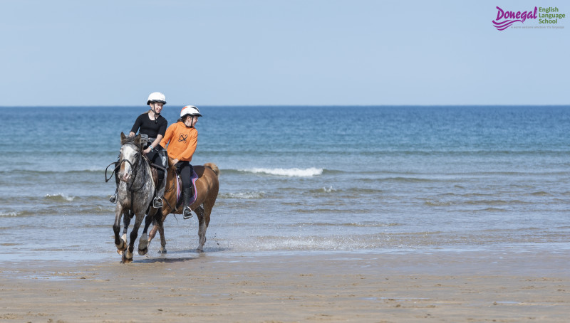 Avis de Laura - Voyage en Irlande