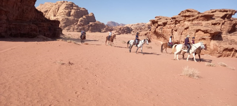 Avis de Tiphaine - Voyage en Jordanie