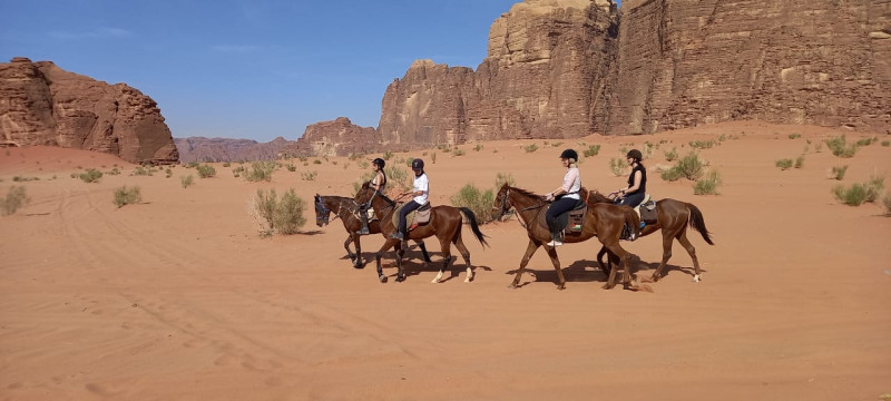 Avis de AB - Voyage en Jordanie