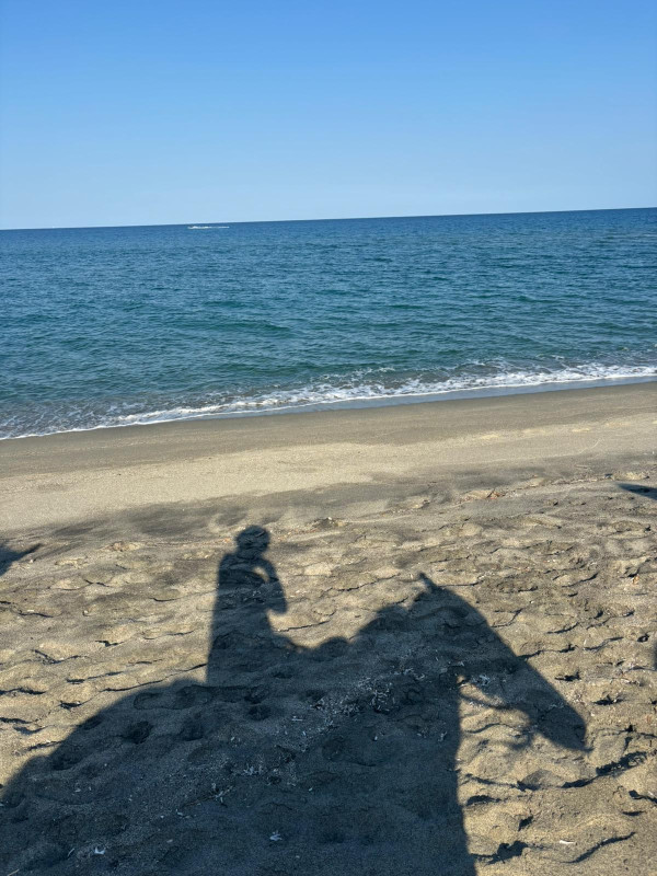 Avis de Thiphaine  - Voyage en Corse