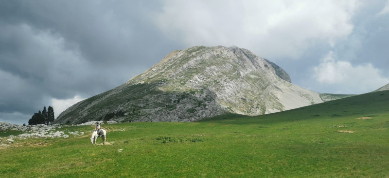 Avis de Océane 