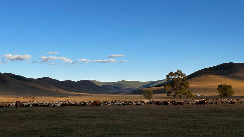 Avis de Alyssa Coutant - Voyage en Mongolie