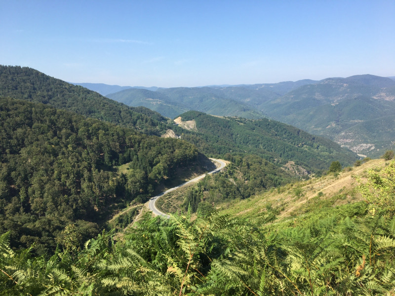 Avis de Mlle Bienaimé