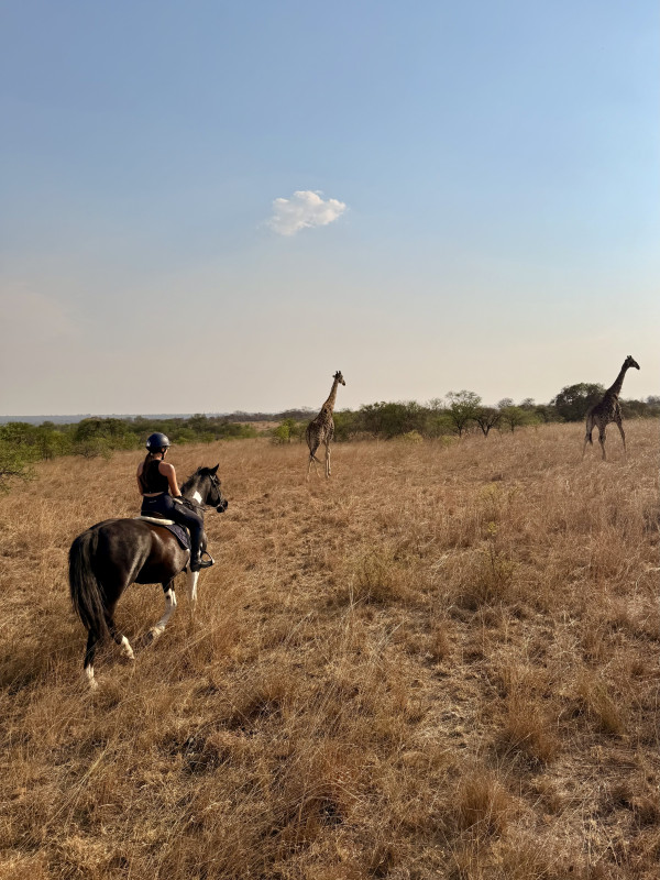 Avis de Cléa Cadet  - Voyage en Zimbabwe