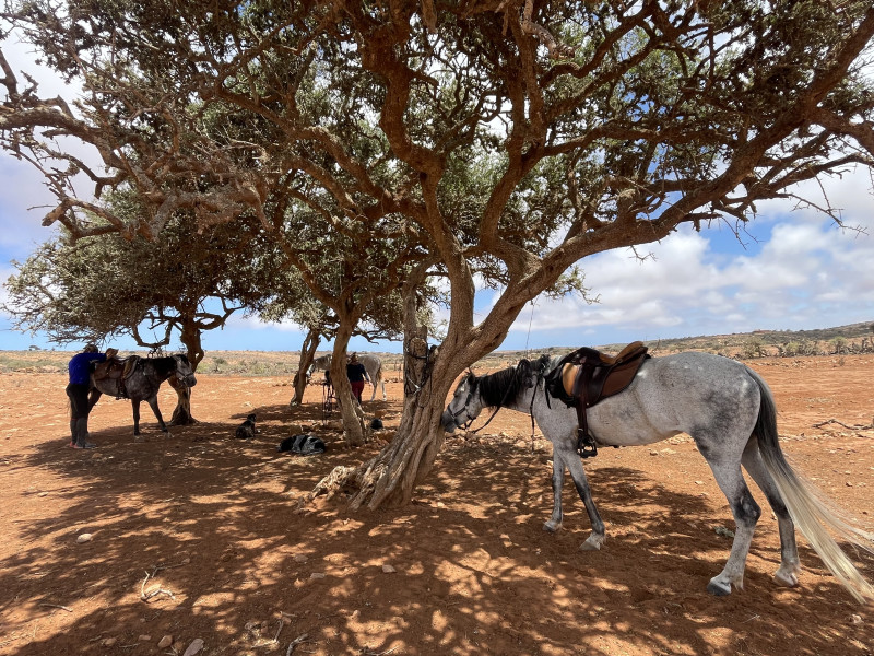 Avis de Etienne et Maïté 