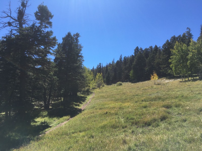 la montagne s'appelle 10K... pour 10 000 pieds d'altitude... c'est haut mais c'est beau