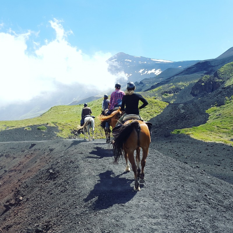 Avis de Marine et Catherine 