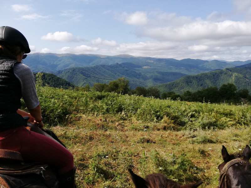 Avis de Mme Gosselin