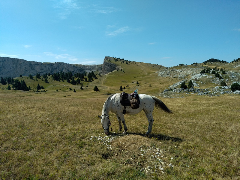 Avis de Daniel M. - Voyage en Alpes