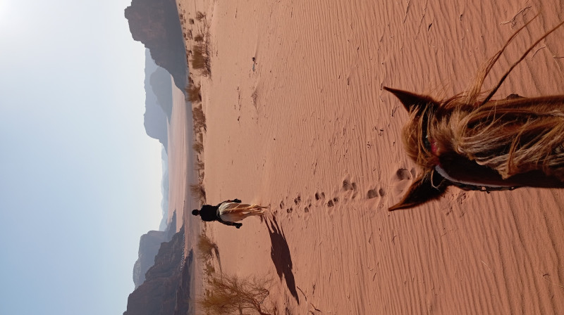 Avis de Justine - Voyage en Jordanie