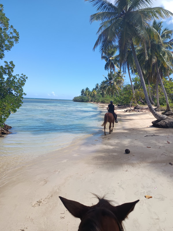 Avis de Audrey - Voyage en Rép. Dominicaine