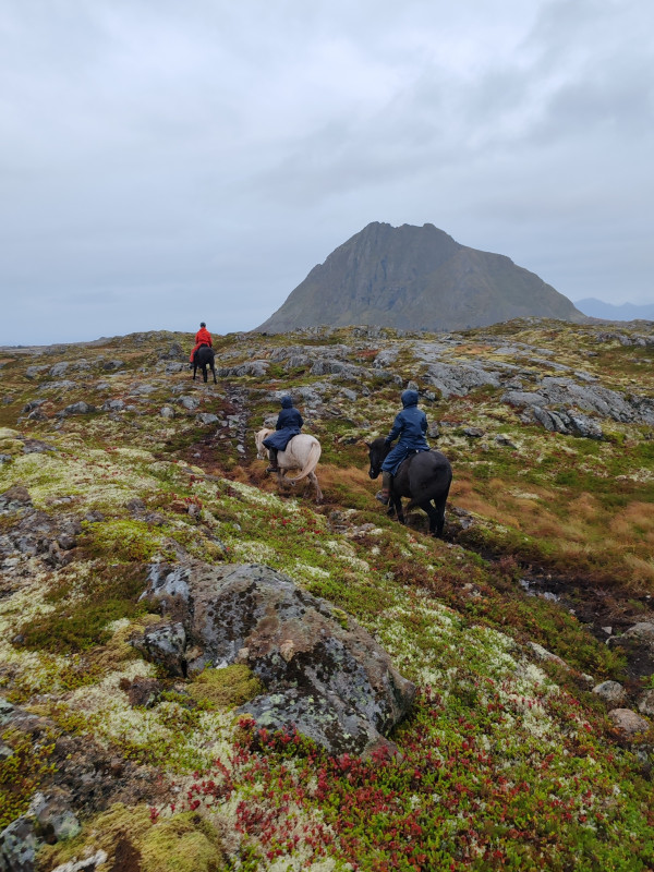 Avis de Audrey B - Voyage en Norvège