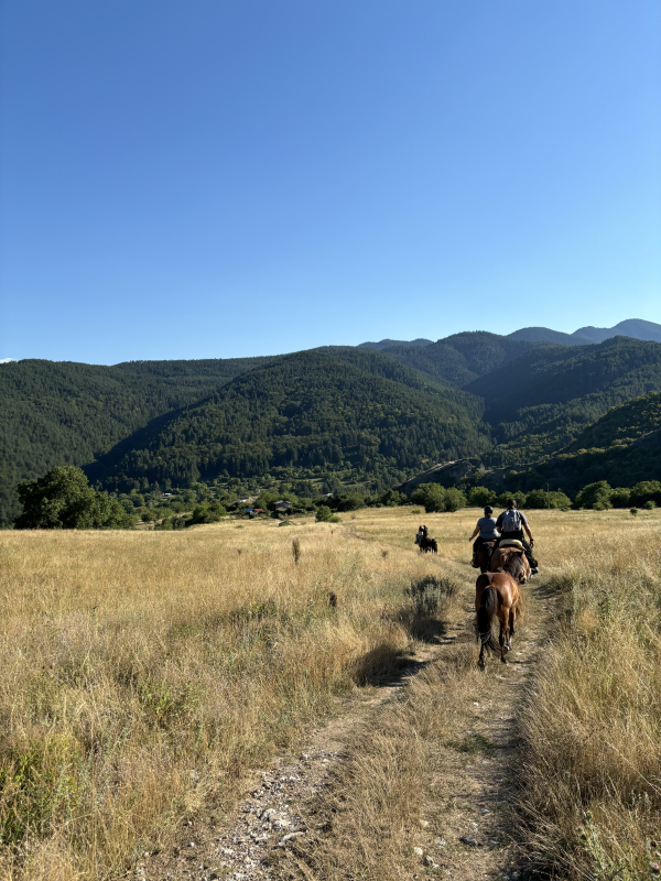 Avis de Élise Rokita - Voyage en Bulgarie