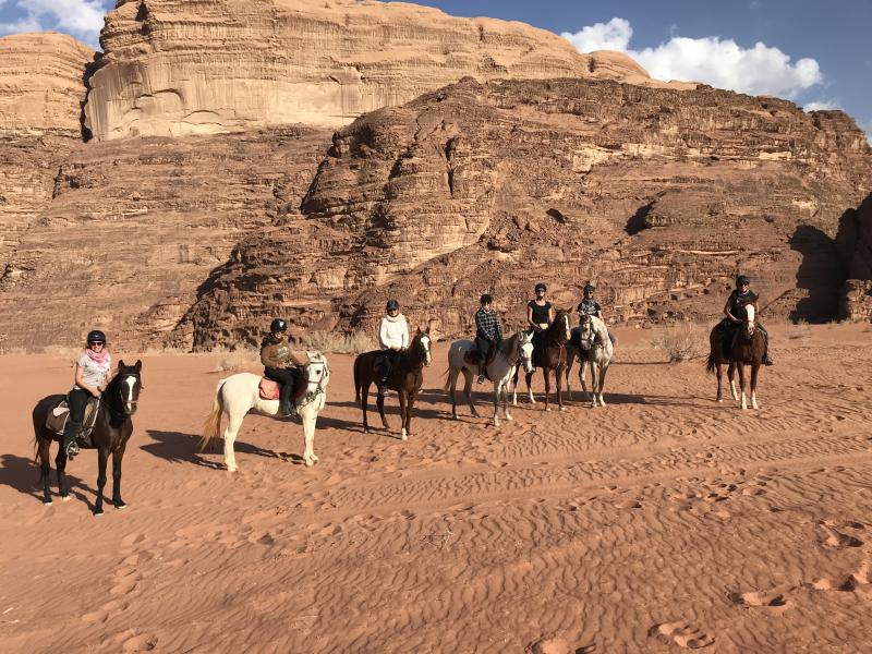 Nos chevaux