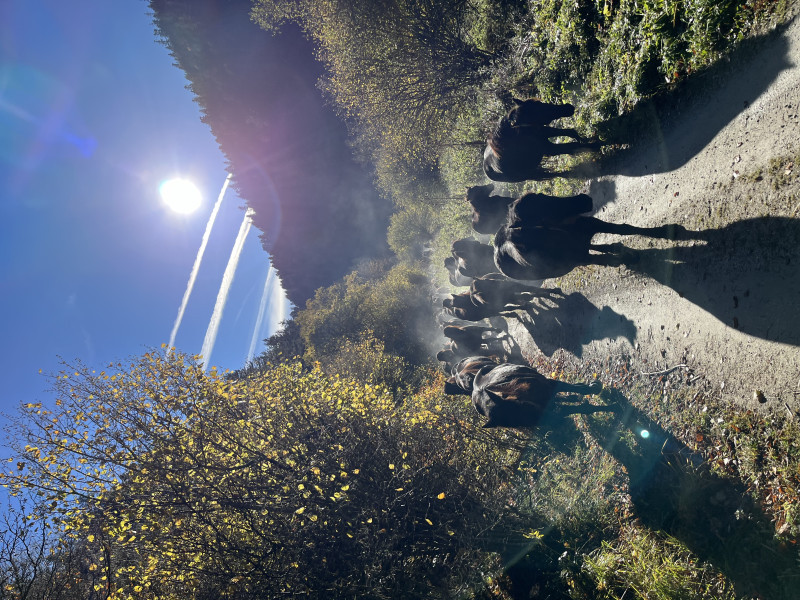 Avis de Clotilde  - Voyage en Pyrénées