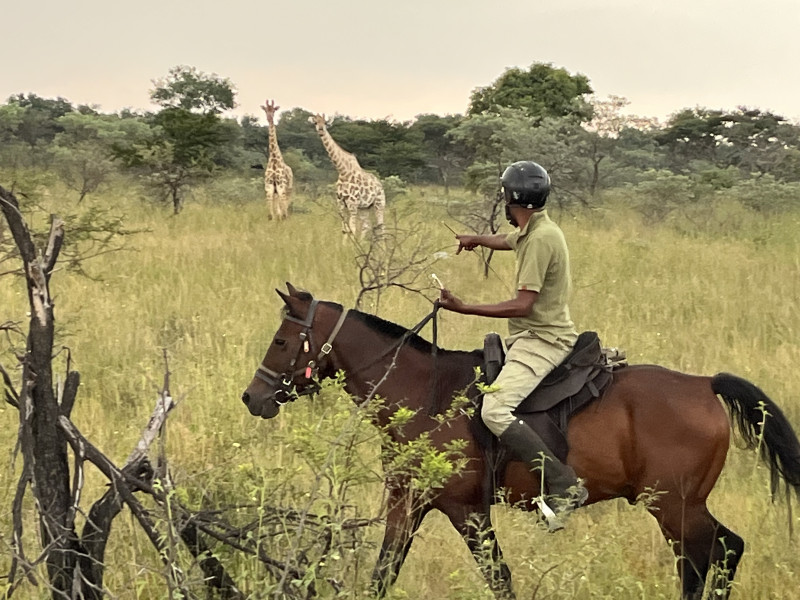 Avis de Aurélie  - Voyage en Afrique du Sud