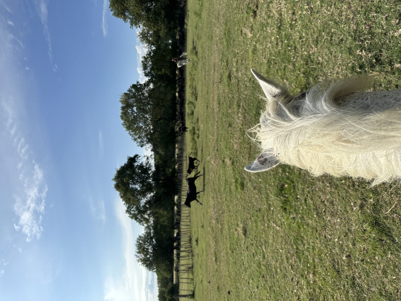 Avis de Chantal et Charlotte Diserens