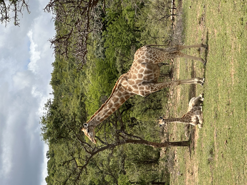Avis de Fam Biselx - Voyage en Afrique du Sud