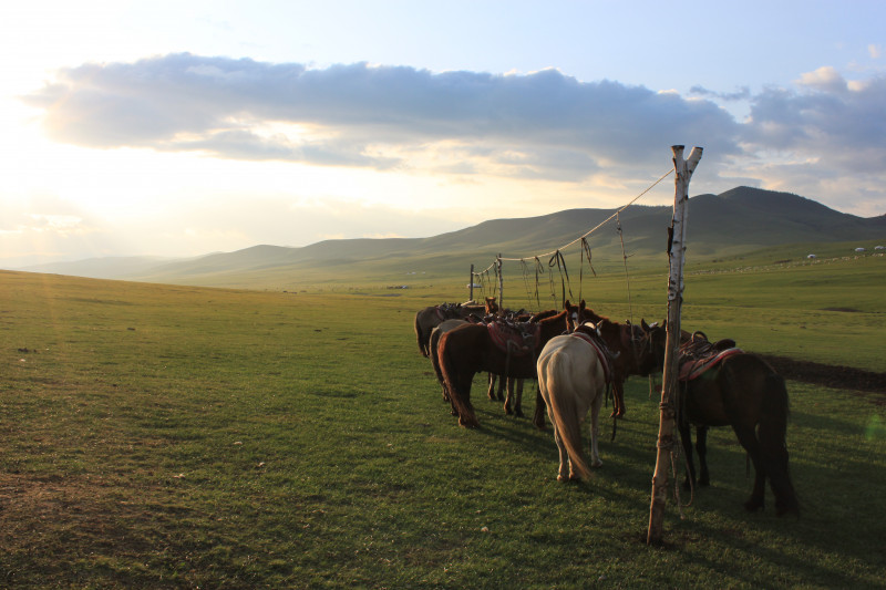 Avis de Anaïs - Voyage en Mongolie