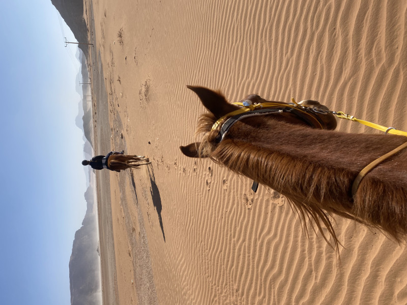 Avis de Martin - Voyage en Jordanie
