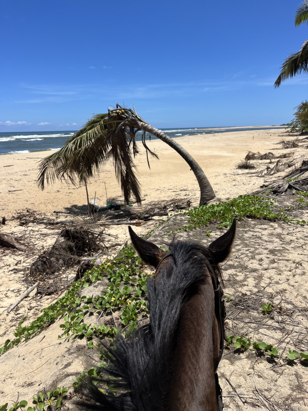 Avis de Marianne - Voyage en Madagascar