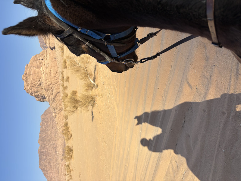 Avis de Marianne  - Voyage en Jordanie