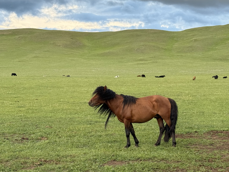 Avis de Anne - Voyage en Mongolie