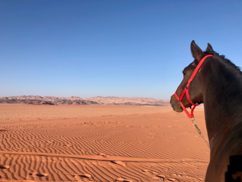 Avis de Donatienne Gauvin