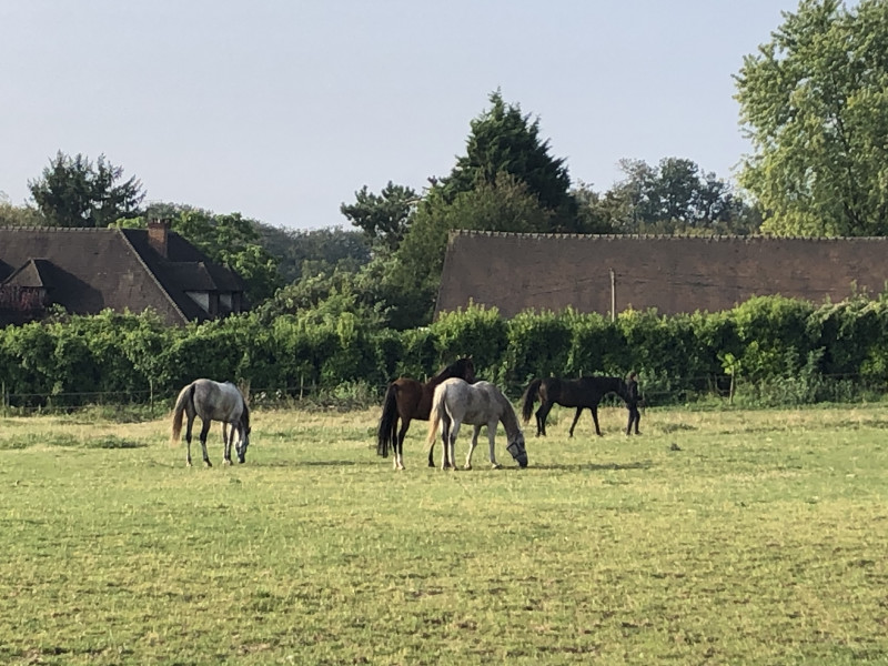 Bon cadeau balade à cheval en forêt de Chantilly - A Cheval En