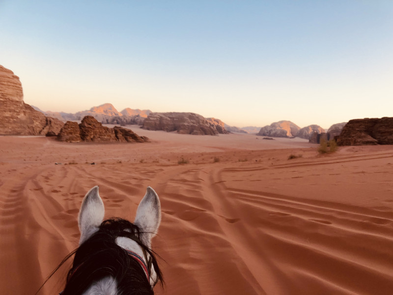 Avis de Celia - Voyage en Jordanie