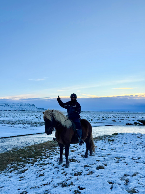 Avis de Murielle DUFROS - Voyage en Islande