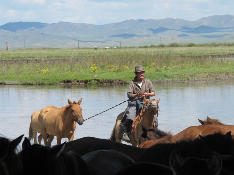 Avis de Emmanuelle - Voyage en Mongolie