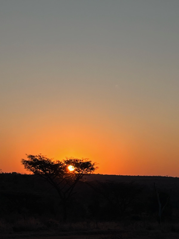 Avis de Les Bary - Voyage en Afrique du Sud