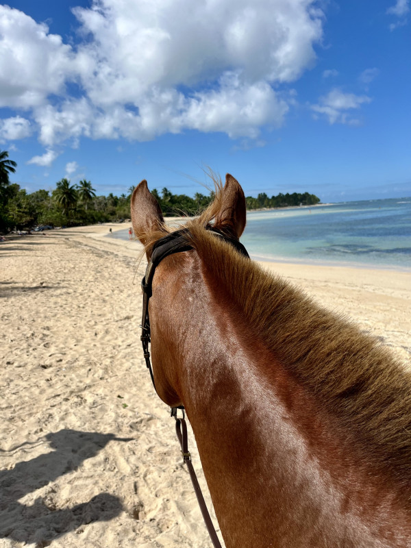 Avis de Aly - Voyage en Rép. Dominicaine