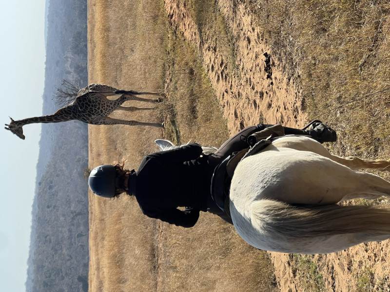 Avis de Erika et Lou - Voyage en Afrique du Sud