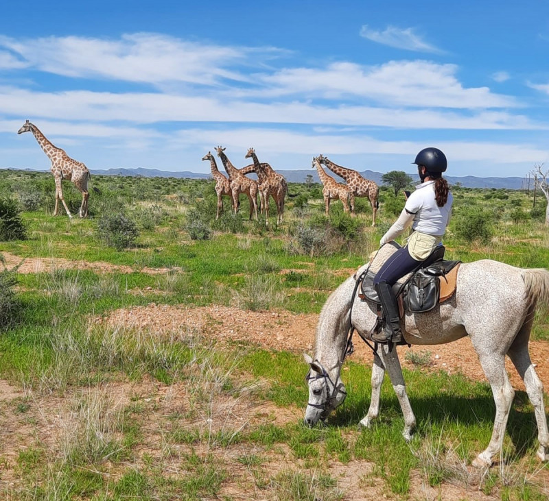 Avis de Swann - Voyage en Namibie