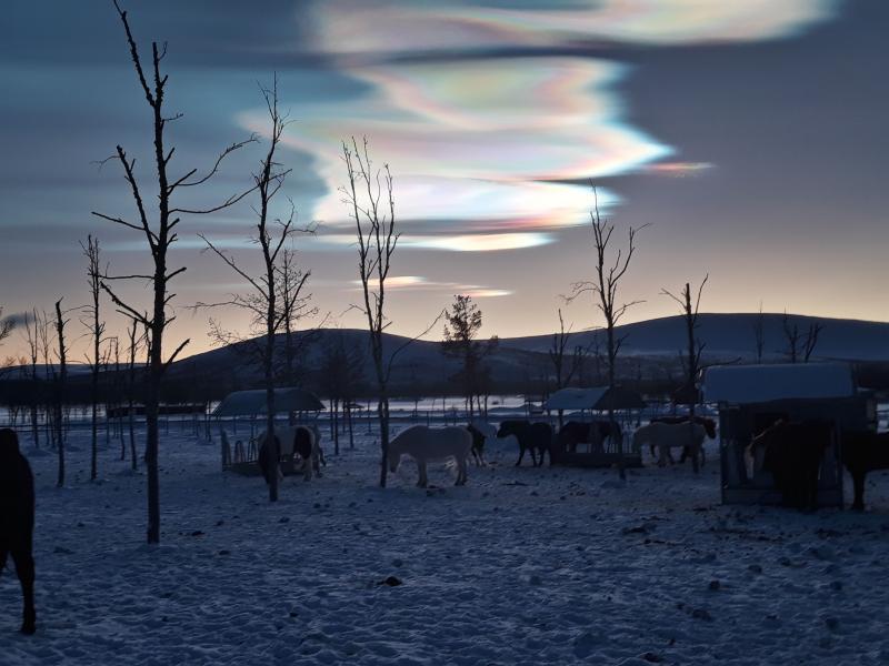 Mother of pearl clouds Mother of pearl clouds