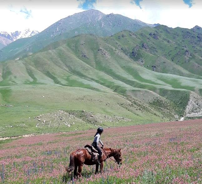 parc Song kul