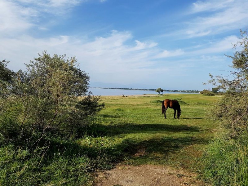 Exploration des sommets en Kirghizie- Caval&go