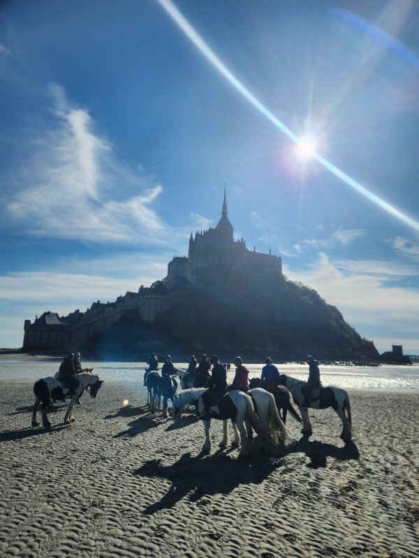 Avis de LALANNE - Voyage en Normandie - Mont St Michel