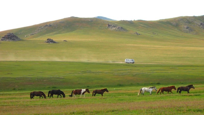 Avis de Mathilde - Voyage en Mongolie