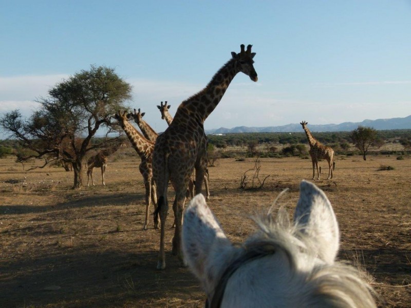 Avis de Arielle - Voyage en Namibie