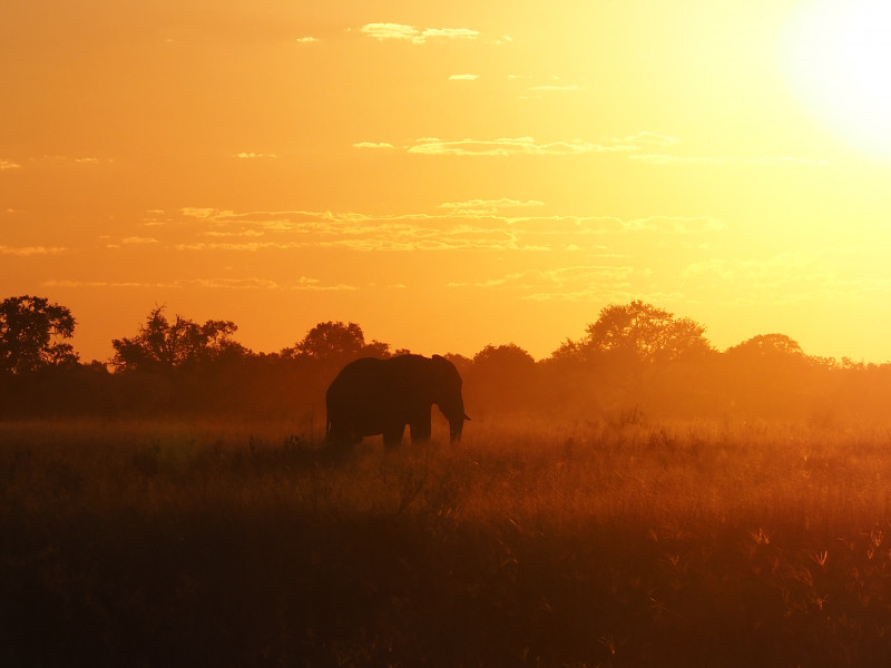 Avis de Hélène Van Heems - Voyage en Botswana