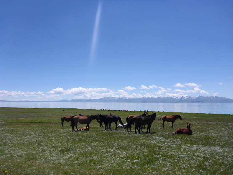 Avis de Catherine et ses 2 filles