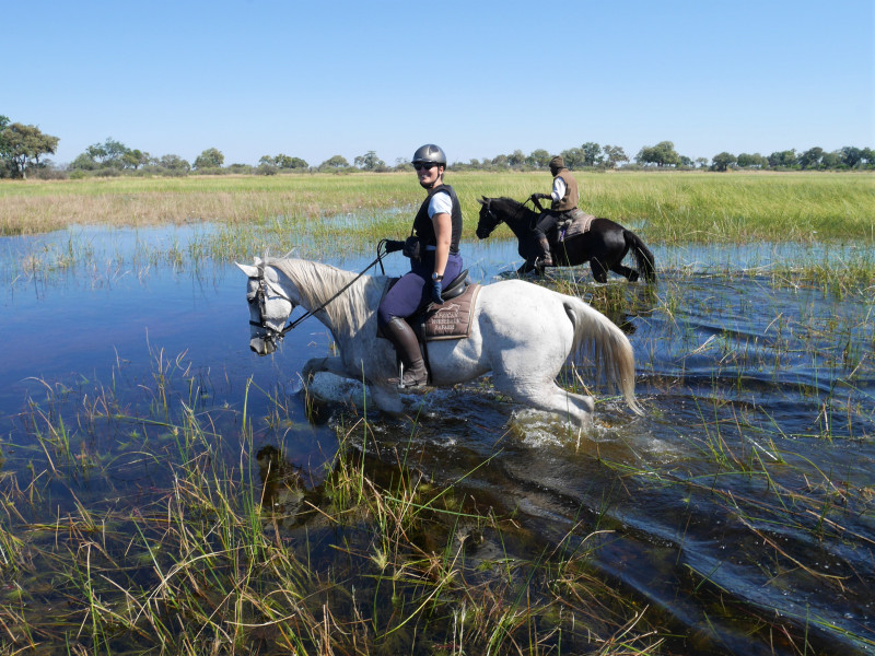 Avis de Mlle Guerret - Voyage en Botswana
