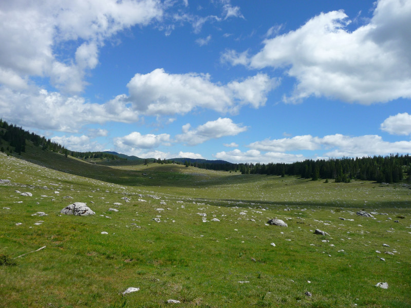 Avis de Colibrille - Voyage en Alpes