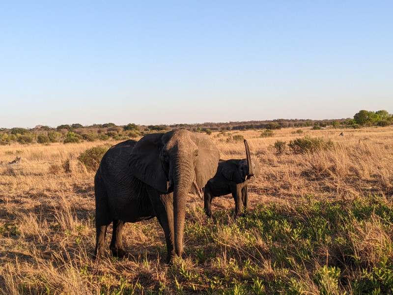 Avis de Diane B. - Voyage en Zimbabwe