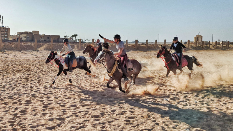 Avis de Marilyne G - Voyage en Egypte