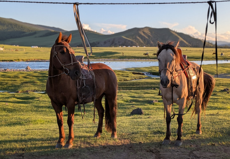 Avis de Marion B. - Voyage en Mongolie