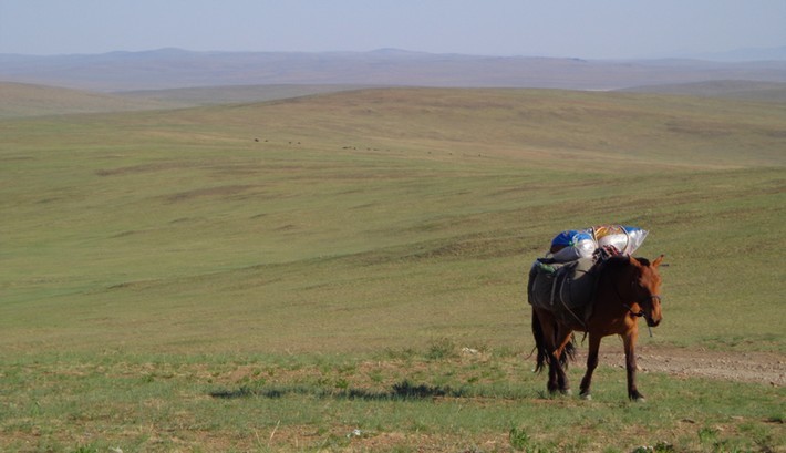 Avis de Auriane - Voyage en Mongolie